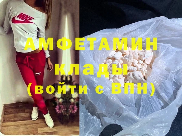 индика Богородицк