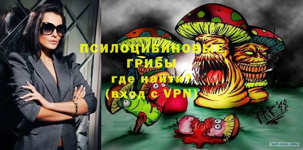 индика Богородицк