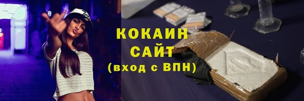 спайс Богданович