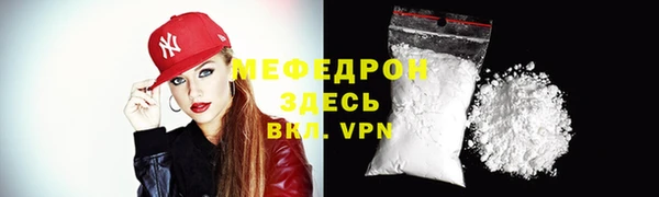 индика Богородицк