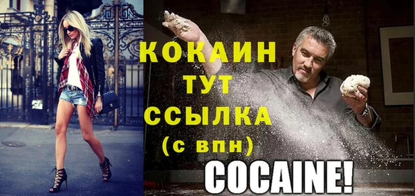 МДПВ Богородск