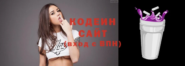 соль ск Бородино