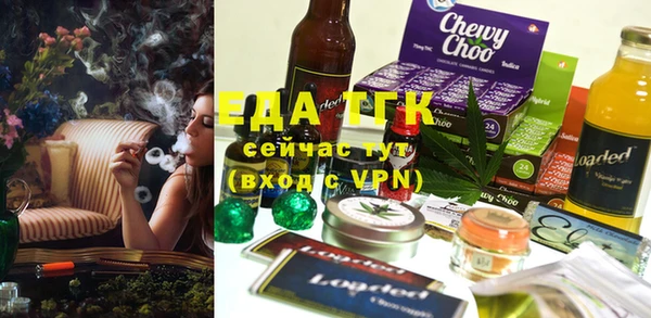 индика Богородицк