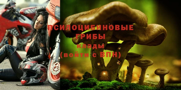 прущие грибы Бугульма