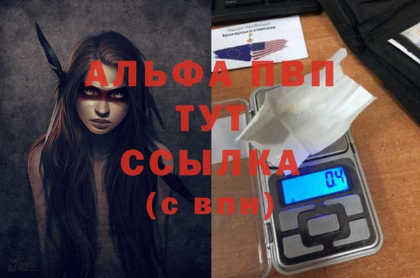 прущие грибы Бугульма