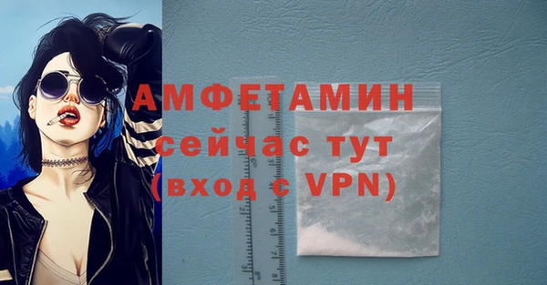 спайс Богданович