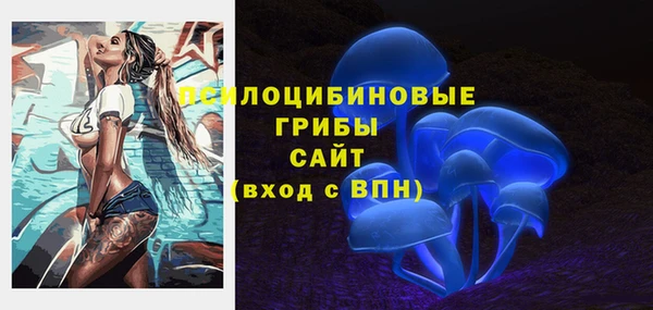 спайс Богданович