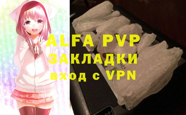 спайс Богданович