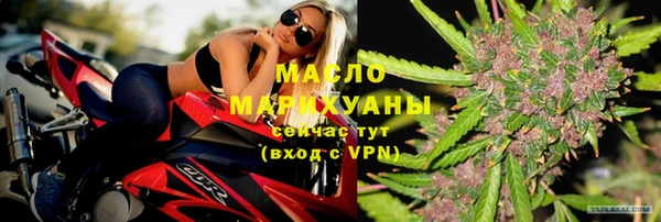 индика Богородицк