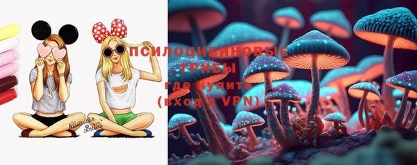 прущие грибы Бугульма