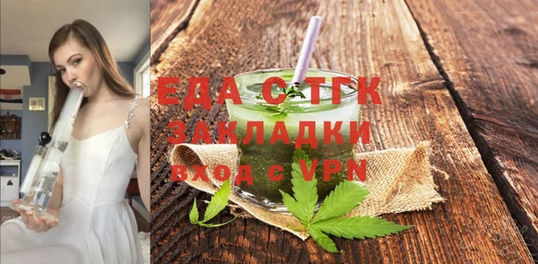 индика Богородицк