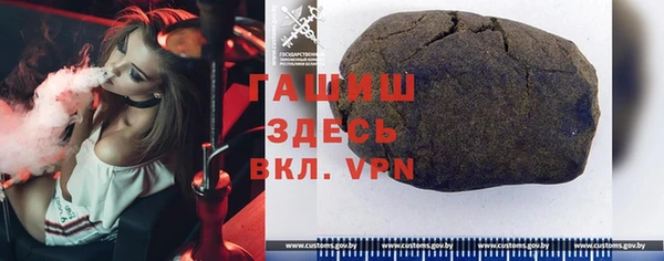 индика Богородицк