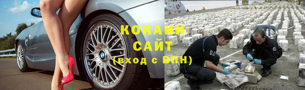 МДПВ Богородск