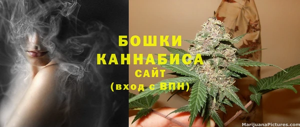 индика Богородицк