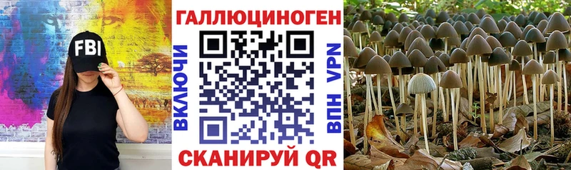 blacksprut вход  Ставрополь  Псилоцибиновые грибы MAGIC MUSHROOMS 